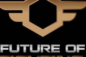 The Ultimate Guide to the Future of Fighting MMA & Beyond | Ultimate Guide to MMA: Training, Techniques, and Top Fighters in The World