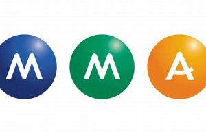 Ultimate MMA Assurance: Guaranteed Success? | Ultimate Guide to MMA: Training, Techniques, and Top Fighters in The World