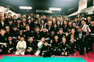 Best MMA Group Training &amp; Workout Programs | Ultimate Guide to MMA: Training, Techniques, and Top Fighters in The World