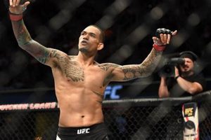 Mma Results Last Night Ultimate Guide to MMA: Training, Techniques, and Top Fighters in The World Mma Results Last Night | Ultimate Guide to MMA: Training, Techniques, and Top Fighters in The World