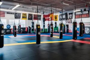Upcoming MMA Matches Near Me: Find Tickets | Ultimate Guide to MMA: Training, Techniques, and Top Fighters in The World