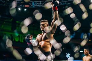 Pro MMA Fighter Income: A Comprehensive Guide | Ultimate Guide to MMA: Training, Techniques, and Top Fighters in The World