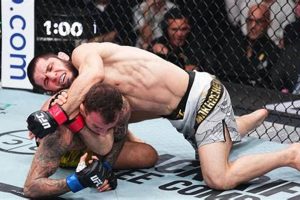 Ultimate MMA Chokeholds Guide: Mastery &amp; Safety | Ultimate Guide to MMA: Training, Techniques, and Top Fighters in The World