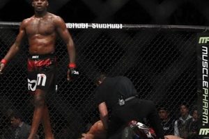 The MMA Legend: Bones Jones' Journey | Ultimate Guide to MMA: Training, Techniques, and Top Fighters in The World