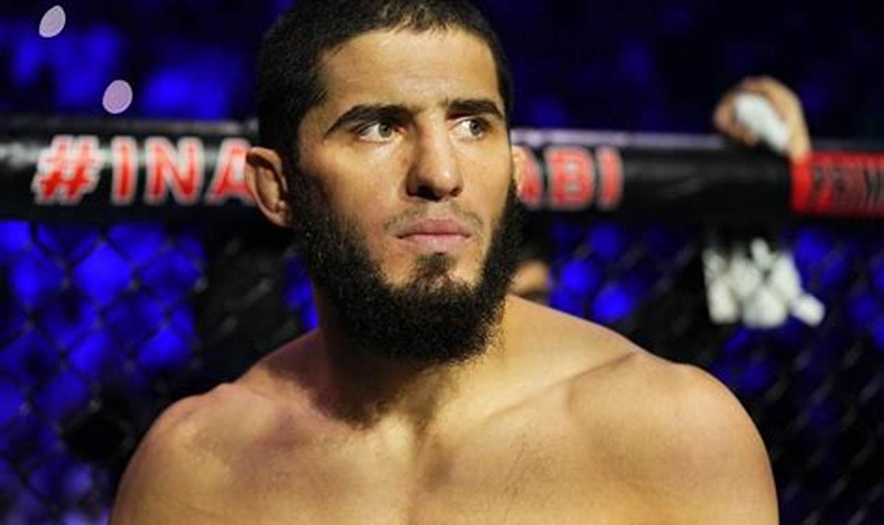 The Undisputed No. 1 MMA Fighter in the World Today Ultimate Guide to MMA: Training, Techniques, and Top Fighters in The World The Undisputed No. 1 MMA Fighter in the World Today | Ultimate Guide to MMA: Training, Techniques, and Top Fighters in The World