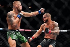 Pro MMA Fighter Hafez: Record, Bio & Highlights | Ultimate Guide to MMA: Training, Techniques, and Top Fighters in The World