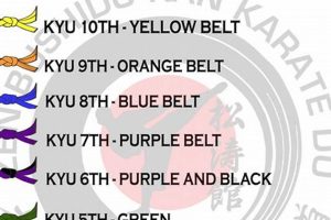 Understanding the MMA Belt Ranking System Guide Ultimate Guide to MMA: Training, Techniques, and Top Fighters in The World Understanding the MMA Belt Ranking System Guide | Ultimate Guide to MMA: Training, Techniques, and Top Fighters in The World