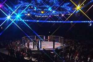 Latest UFC & MMA News & Fight Updates | Ultimate Guide to MMA: Training, Techniques, and Top Fighters in The World