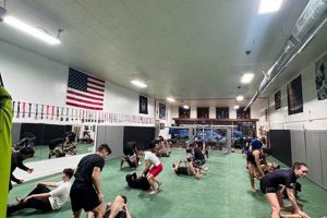 The Ultimate Guide to Livewire MMA Training | Ultimate Guide to MMA: Training, Techniques, and Top Fighters in The World