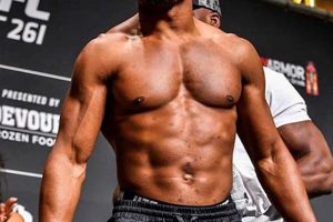 Top Nigerian MMA Fighters: Rising Stars | Ultimate Guide to MMA: Training, Techniques, and Top Fighters in The World