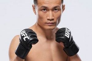 Top Korean MMA Fighters: Ultimate Guide | Ultimate Guide to MMA: Training, Techniques, and Top Fighters in The World