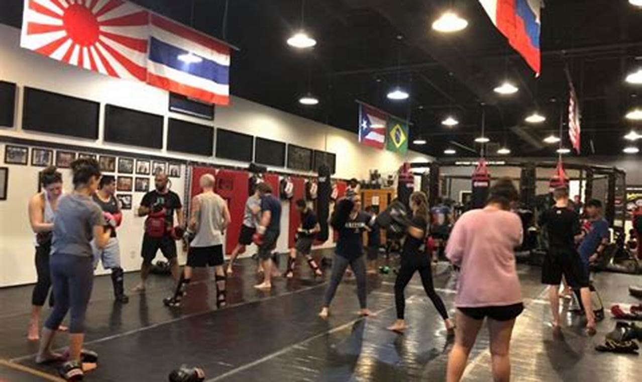 Best Dominion MMA San Antonio TX Gym | Ultimate Guide to MMA: Training, Techniques, and Top Fighters in The World
