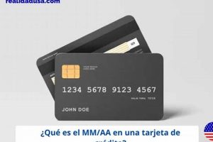 What is MMAA? A Guide to MMA Organizations | Ultimate Guide to MMA: Training, Techniques, and Top Fighters in The World