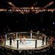 Watch Live MMA Fights Near You Tonight! | Ultimate Guide to MMA: Training, Techniques, and Top Fighters in The World
