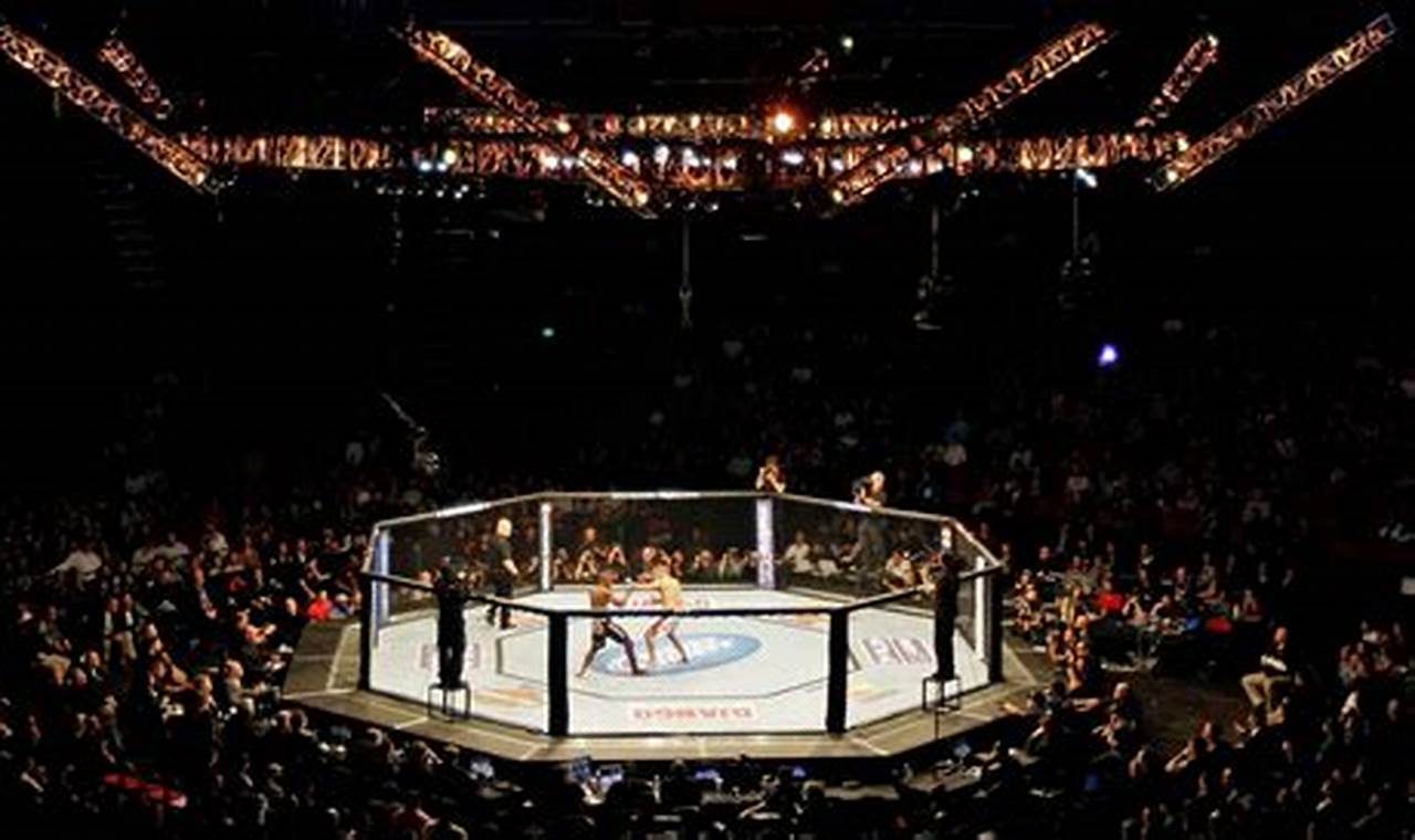 Watch Live MMA Fights Near You Tonight! | Ultimate Guide to MMA: Training, Techniques, and Top Fighters in The World