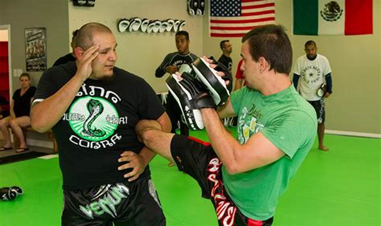 King Cobra MMA Downey: Train Like a Champion | Ultimate Guide to MMA: Training, Techniques, and Top Fighters in The World