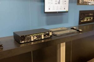 Mma Multimedia | Ultimate Guide to MMA: Training, Techniques, and Top Fighters in The World