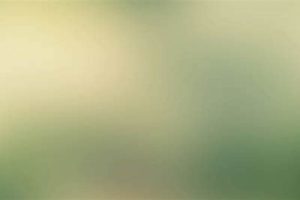 Best MMA Streaming Sites: Watch Fights Online | Ultimate Guide to MMA: Training, Techniques, and Top Fighters in The World