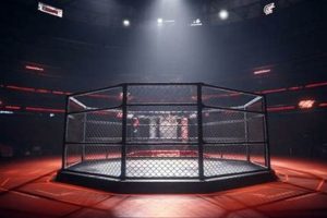 Ultimate Octagon MMA Price Guide &amp; Tips | Ultimate Guide to MMA: Training, Techniques, and Top Fighters in The World