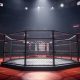 Ultimate Octagon MMA Price Guide &amp; Tips | Ultimate Guide to MMA: Training, Techniques, and Top Fighters in The World