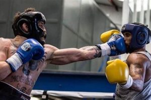 Find MMA Sparring Gyms Near Me | Train Now | Ultimate Guide to MMA: Training, Techniques, and Top Fighters in The World