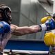 Find MMA Sparring Gyms Near Me | Train Now | Ultimate Guide to MMA: Training, Techniques, and Top Fighters in The World