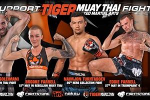 Unleash the Tiger: Muay Thai & MMA Training | Ultimate Guide to MMA: Training, Techniques, and Top Fighters in The World