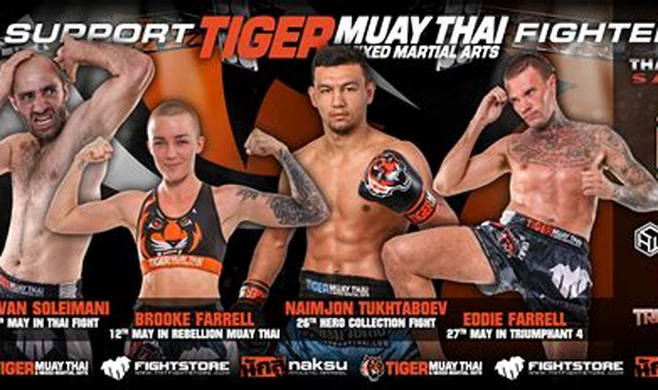 Unleash the Tiger: Muay Thai & MMA Training | Ultimate Guide to MMA: Training, Techniques, and Top Fighters in The World