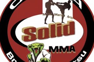 Dominate MMA with Solid Cobra BJJ Fundamentals | Ultimate Guide to MMA: Training, Techniques, and Top Fighters in The World