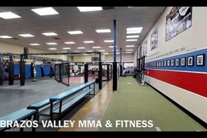 Top Brazos Valley MMA Gyms & Fighters Ultimate Guide to MMA: Training, Techniques, and Top Fighters in The World Top Brazos Valley MMA Gyms & Fighters | Ultimate Guide to MMA: Training, Techniques, and Top Fighters in The World