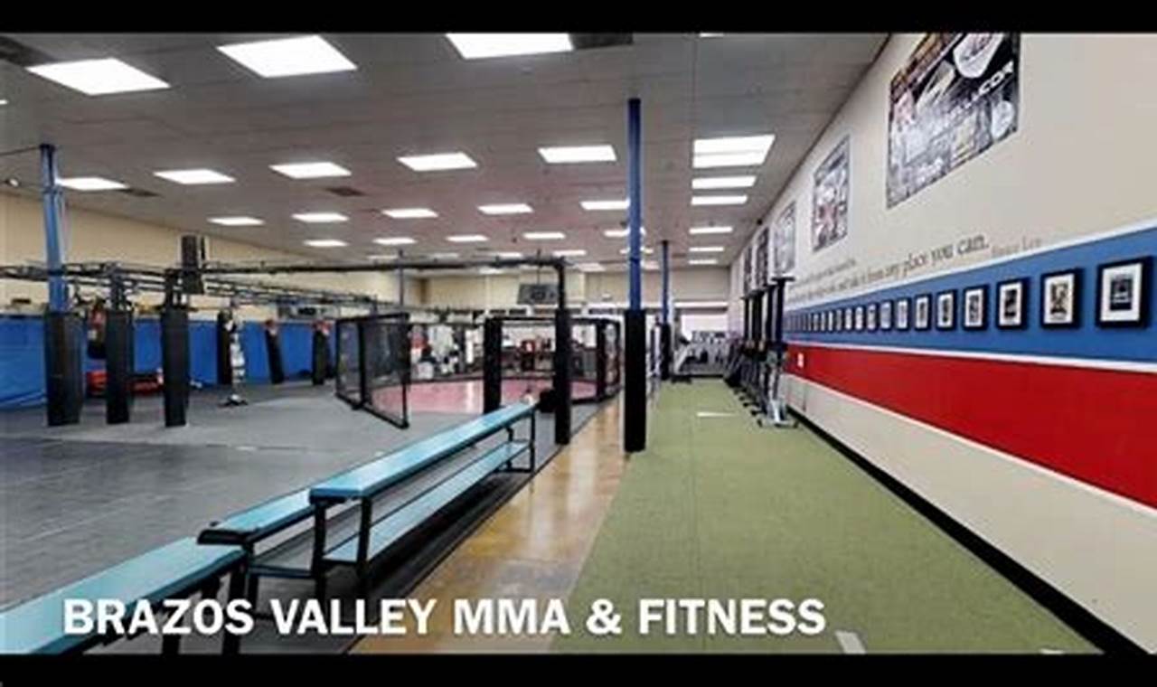 Top Brazos Valley MMA Gyms & Fighters Ultimate Guide to MMA: Training, Techniques, and Top Fighters in The World Top Brazos Valley MMA Gyms & Fighters | Ultimate Guide to MMA: Training, Techniques, and Top Fighters in The World
