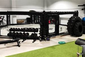 Top MMA Gyms Near Me | Find Your Fit | Ultimate Guide to MMA: Training, Techniques, and Top Fighters in The World