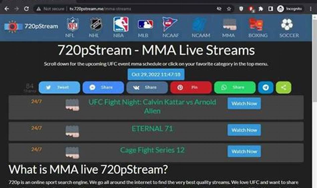Mma Streams Online | Ultimate Guide to MMA: Training, Techniques, and Top Fighters in The World