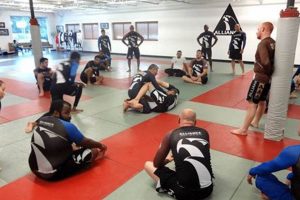 Top MMA Schools & Gyms in Sacramento, CA | Ultimate Guide to MMA: Training, Techniques, and Top Fighters in The World
