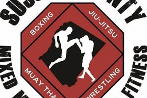 Top Sussex County MMA Gyms & Fighters | Ultimate Guide to MMA: Training, Techniques, and Top Fighters in The World