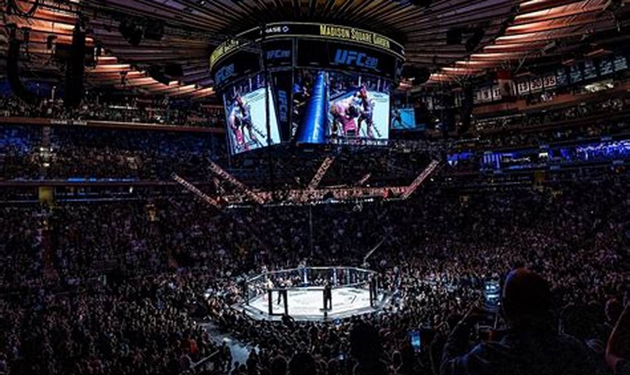 Best MMA Gyms & Events in Madison, WI | Ultimate Guide to MMA: Training, Techniques, and Top Fighters in The World