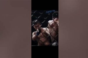 The Ultimate Guide to Jeff Neil MMA Fighter | Ultimate Guide to MMA: Training, Techniques, and Top Fighters in The World