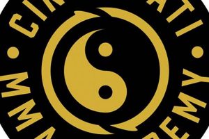 Top Cincinnati MMA Schools &amp; Training | Ultimate Guide to MMA: Training, Techniques, and Top Fighters in The World