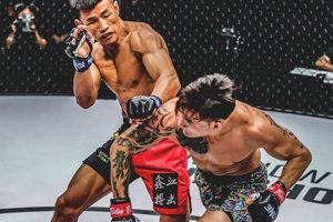 Ultimate Guide to Winning MMA Gold: Tips & Strategies | Ultimate Guide to MMA: Training, Techniques, and Top Fighters in The World