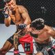 Ultimate Guide to Winning MMA Gold: Tips & Strategies | Ultimate Guide to MMA: Training, Techniques, and Top Fighters in The World