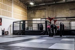 Dominate the Octagon: The MMA Siege Strategy | Ultimate Guide to MMA: Training, Techniques, and Top Fighters in The World
