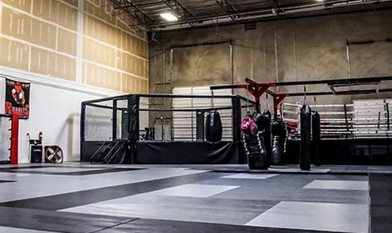 Dominate the Octagon: The MMA Siege Strategy Ultimate Guide to MMA: Training, Techniques, and Top Fighters in The World Dominate the Octagon: The MMA Siege Strategy | Ultimate Guide to MMA: Training, Techniques, and Top Fighters in The World