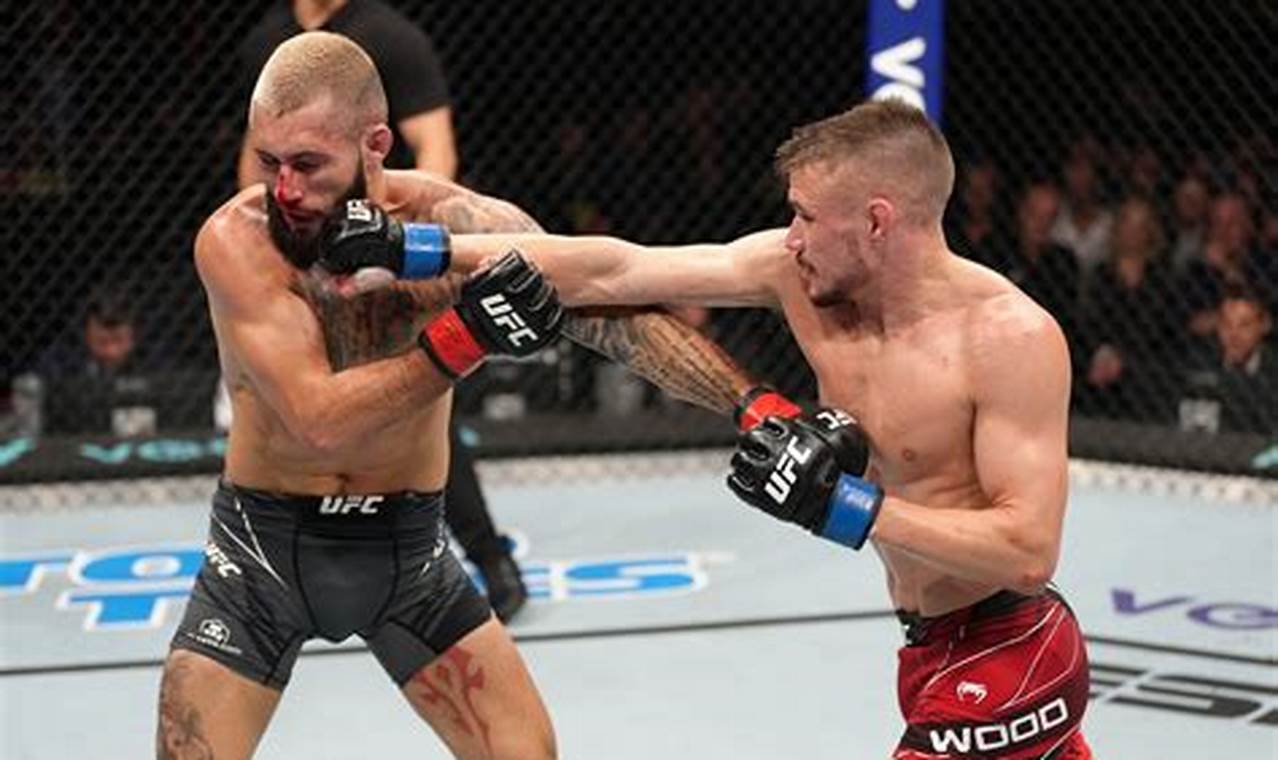 MMA Latest News &amp; Fight Updates | Ultimate Guide to MMA: Training, Techniques, and Top Fighters in The World