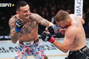 MMA Low Kick: Guide & Techniques | Ultimate Guide to MMA: Training, Techniques, and Top Fighters in The World