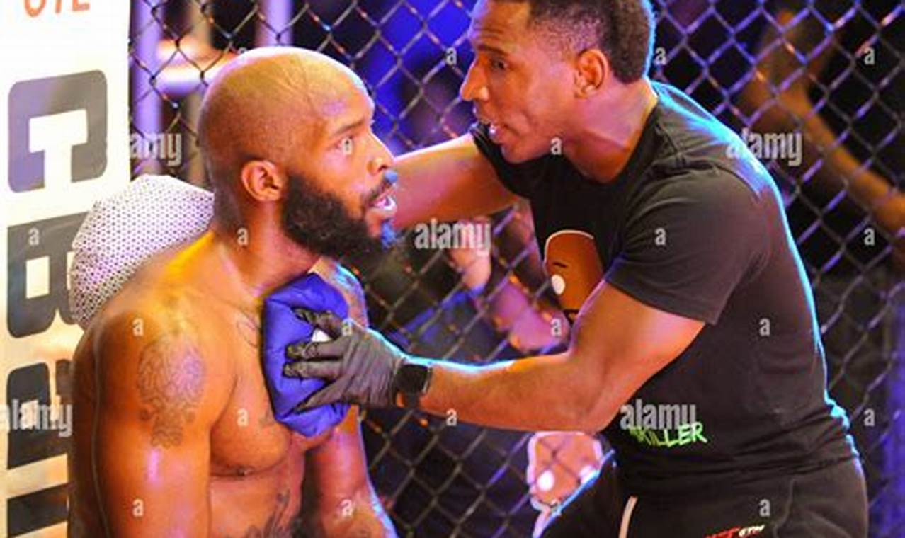 Ultimate Casino MMA Fights: Cage Match Action | Ultimate Guide to MMA: Training, Techniques, and Top Fighters in The World