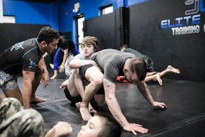 Train Like a Pro: Elite Edge MMA Tips & Drills Ultimate Guide to MMA: Training, Techniques, and Top Fighters in The World Train Like a Pro: Elite Edge MMA Tips & Drills | Ultimate Guide to MMA: Training, Techniques, and Top Fighters in The World