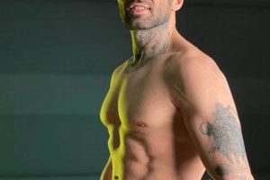 Top Iranian MMA Fighters: Rising Stars | Ultimate Guide to MMA: Training, Techniques, and Top Fighters in The World