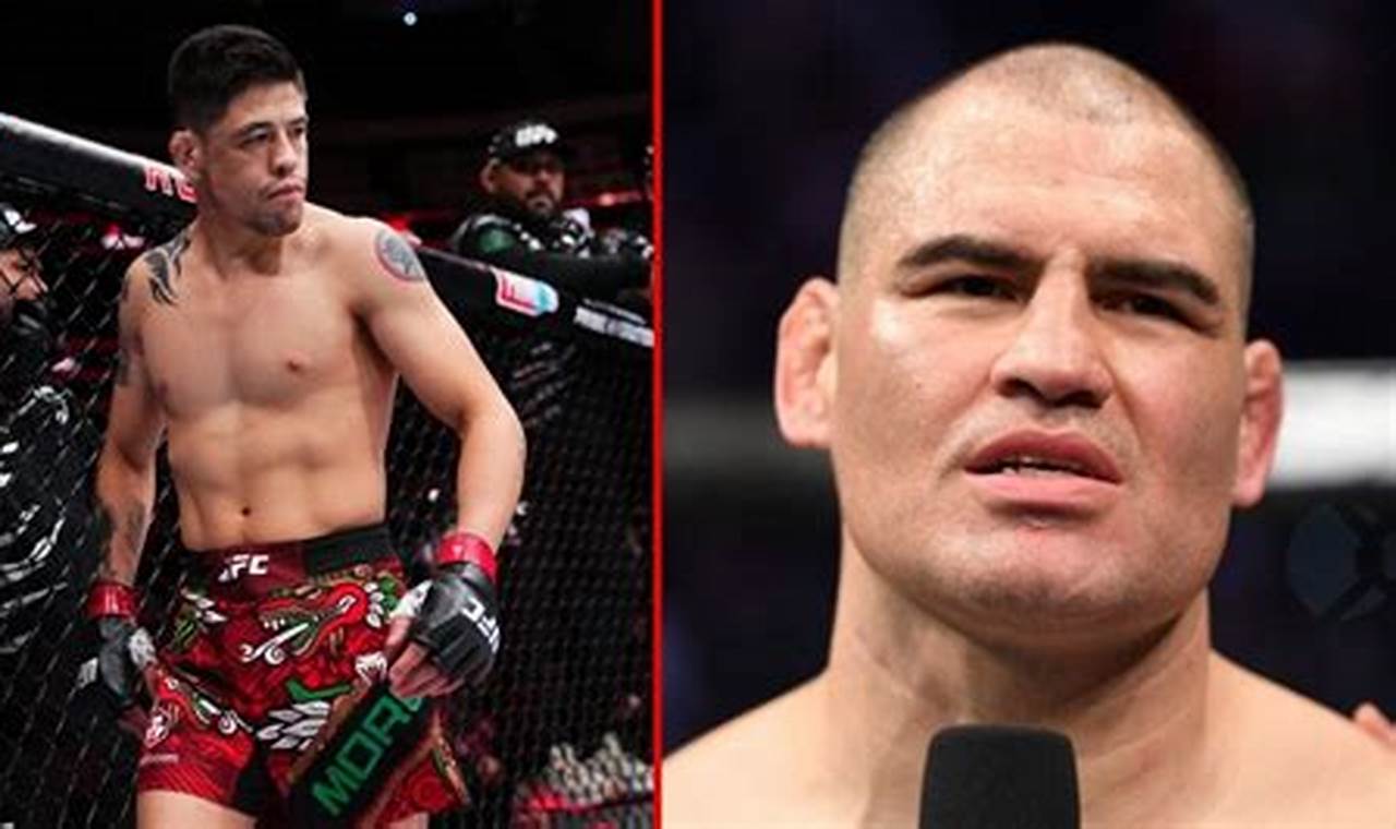 Top Mexican MMA Fighters: Rising Stars of the Octagon | Ultimate Guide to MMA: Training, Techniques, and Top Fighters in The World