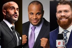 Top MMA Announcers: Voices of the Octagon | Ultimate Guide to MMA: Training, Techniques, and Top Fighters in The World