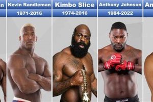 MMA Fighter Deaths: A Sad Statistic | Ultimate Guide to MMA: Training, Techniques, and Top Fighters in The World